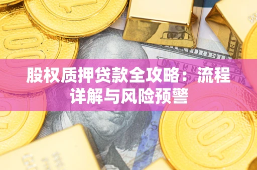 北京股权质押贷款全攻略：流程详解与风险预警