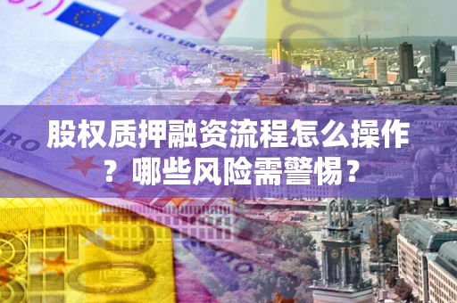 北京股权质押融资流程怎么操作？哪些风险需警惕？