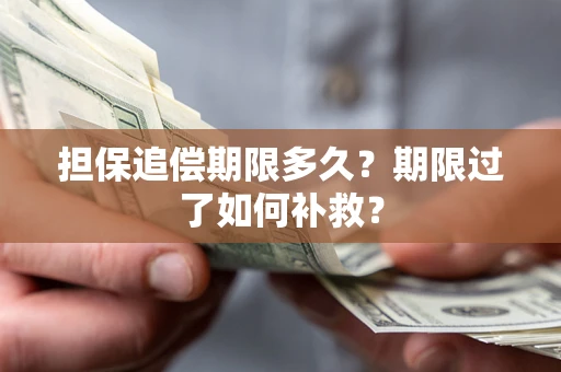 北京担保追偿期限多久？期限过了如何补救？